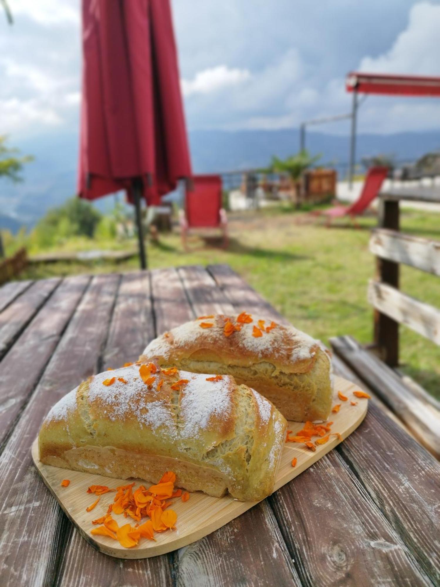 Hayat Oksijen Resort Орду Екстер'єр фото